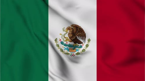 Seamless Loop of Waving Mexican Flag