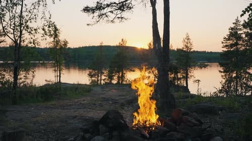 Sunset Light Illuminates Forest Glade with Burning Campfire