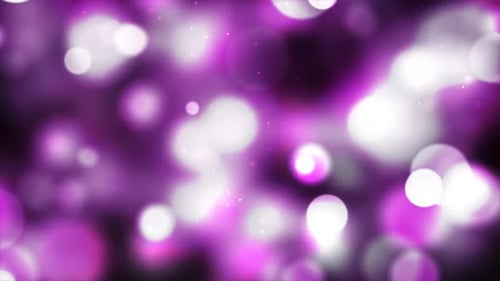 Fluid Purple and White Bokeh Lights Motion Background Loop