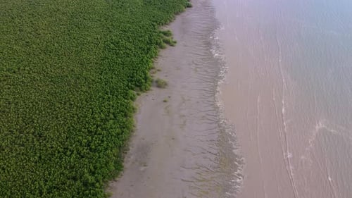 Aerial view mangrove forest protect from the wave