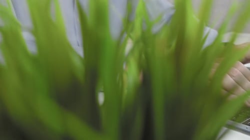 Hands Typing on Laptop at Clean Desk