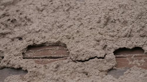 Colline des termites