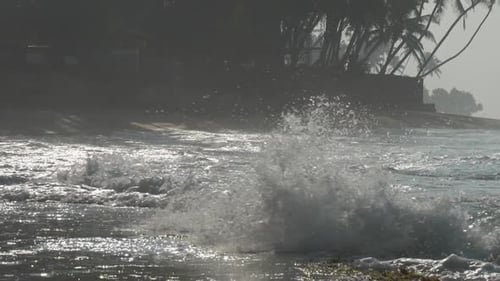 Ocean Shore with Waving Blue Ocean Against Palms Silhouette