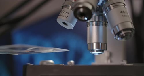 Tête de revolver au microscope
