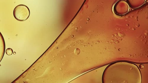 Abstract Colorful Food Oil Drops Bubbles 237