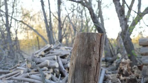 Unrecognizable Man Chopping Wood with an Ax Slow Motion