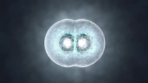 3D rendered Animation of Cell Replication