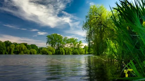 Green Urban Park