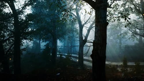 Mystical Forest with Fog, Light Rays, and Sparkling Particles