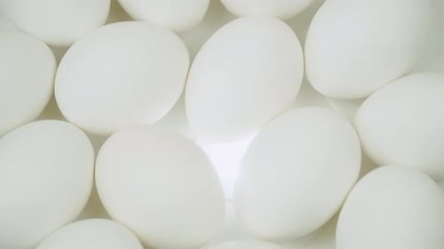 Close Up of Fresh White Eggs, Food Ingredients