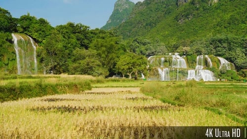 Majestic Ban Gioc Waterfall Flowing in Vietnam