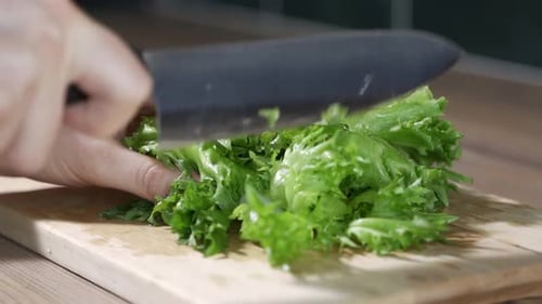 Fresh Lettuce Being Chopped with a Knife