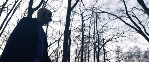 Masked Figure Standing in Eerie Fall Woods
