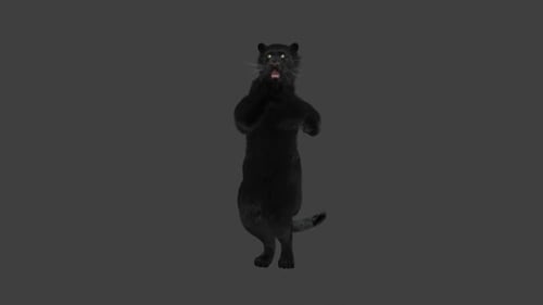Animated Black Panther Dancing on Hind Legs