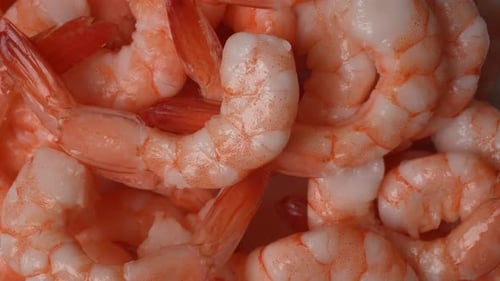 Close Up of Delicious, Cooked Shrimp