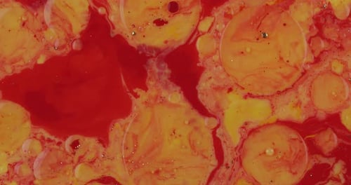 Abstract Psychedelic Background. Slow Movement of Ink in a Multicolored Liquid
