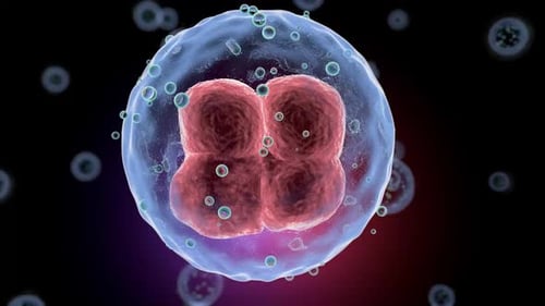 Microscopic Cell Division Animation: Biology and Medical Research Concept