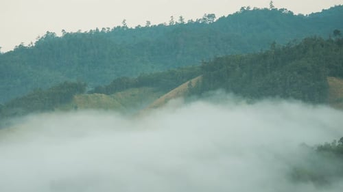 Fog Moving Above Mountain