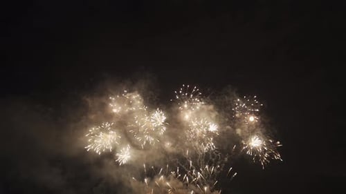 Vibrant Fireworks Exploding in the Dark Night Sky