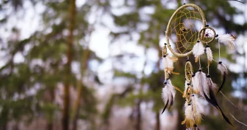 Dreamcatcher bailando en el viento sobre un fondo de bosque