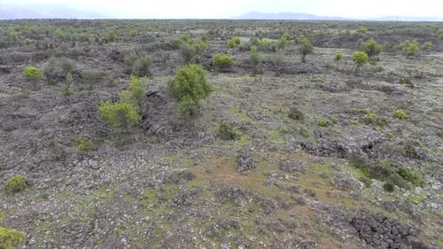 Basalt-Tiefland