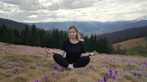 Femme calme méditant assise sur la vallée de la haute montagne parmi les fleurs de crocus