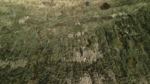Aerial View of Rural Farmland on Sunny Day