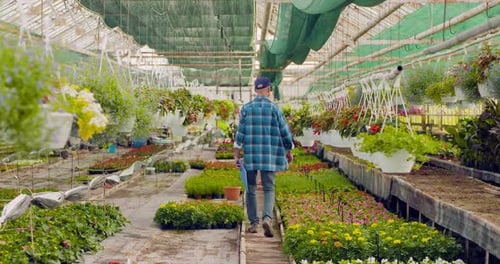 Confident Male Gardener Examining Potted Flower Plant