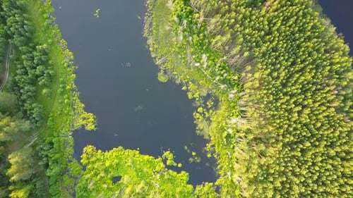 Naturaleza, lago, estanque, agua