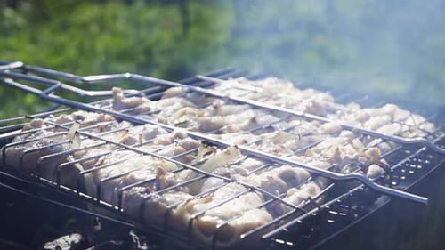 Schaschlik im Barbecue-Grill