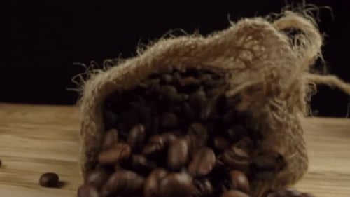 Roasted Coffee Beans Spill from Burlap Sack