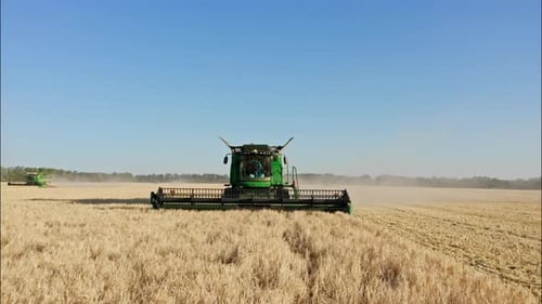Combine Harvesting Wheat Top View of a Wheatfield