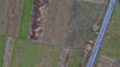 Aerial View of Green Farmland of the Countryside Cultivated Field From Above