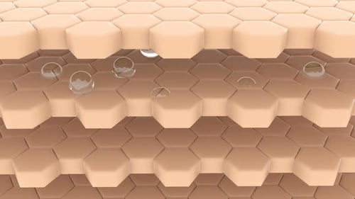 Skin Cell Absorption Process: Medical Science Animation