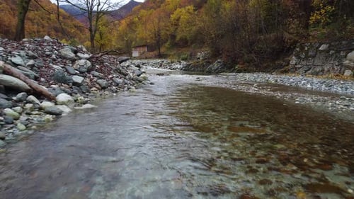 River in mountain forest with red and yellow trees autumn foliage aerial view