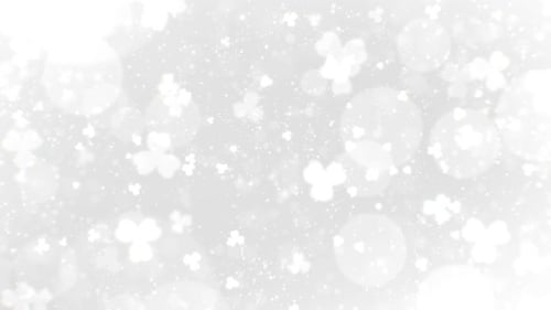 Clean Leaf Backgrounds