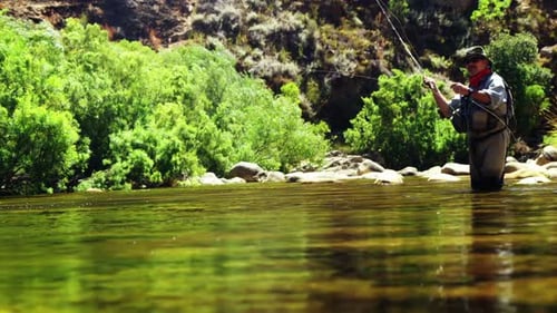 Fisherman fly fishing in river