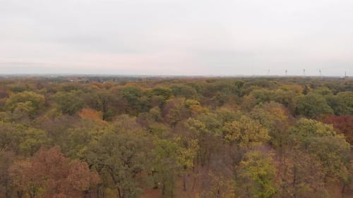 Vue Cinématographique d'une forêt par Drone en 4K. Photographiez sur un DJI Mavic Air à 29,97 images par seconde
