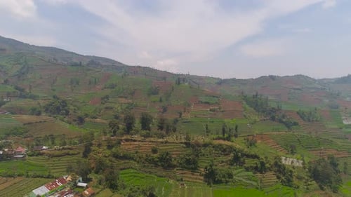 Aerial View of Agricultural Terraces on Green Hills
