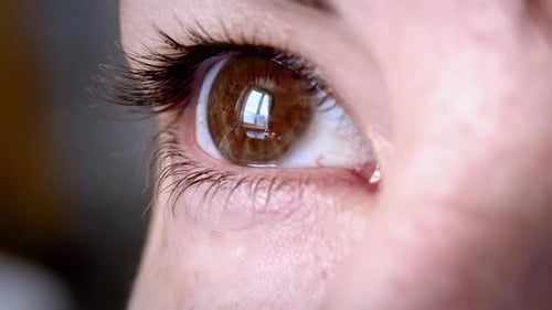 Woman Eye regarde par la fenêtre Macro Shot Female Brown Eye Cinématographique