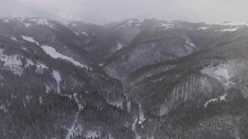 Aerial View Flying Over Forests in the Mountains in Wintertime