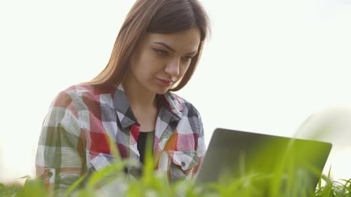 Woman Farmer Working at Laptop in Green Wheat Field Smart Modern Agronomist