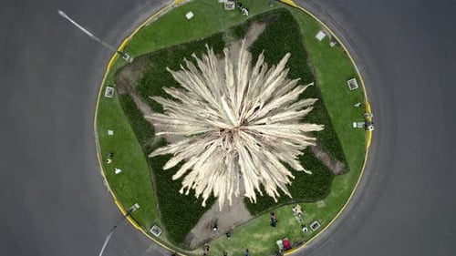 Prise de vue par Drone cenital d'une paume simbolique sèche au Paseo de la Reforma à Mexico