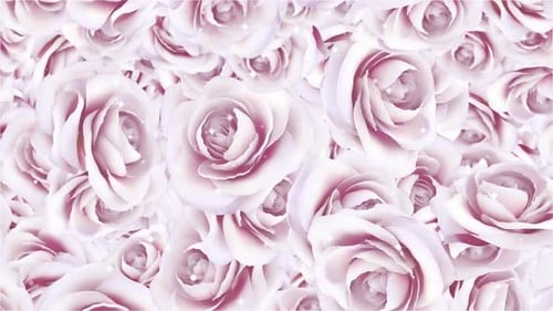 Fallender Hintergrund der Rosen