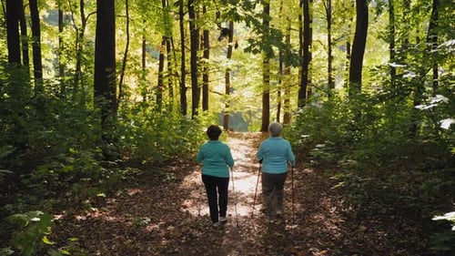Nordic Walking for Elderly Women in the Forest