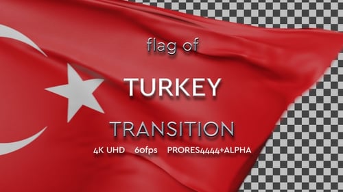 Realistic Fabric Flag Reveal Transition