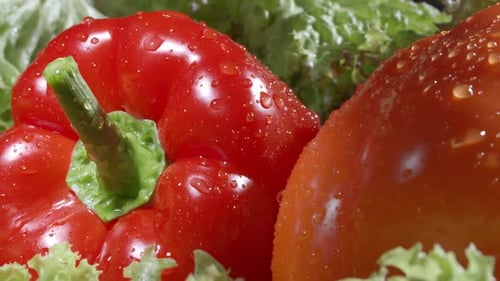Fresh Bell Peppers and Lettuce Close Up