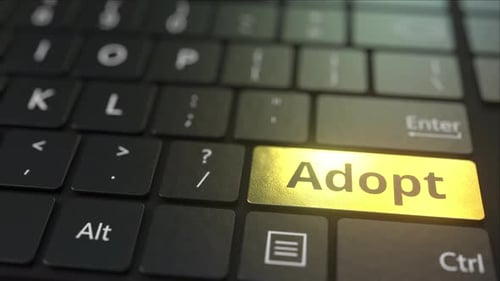 Black Computer Keyboard and Gold Adopt Key