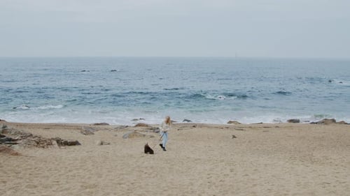 Woman Is Walking With Dog On Beach