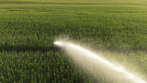 Sistema de Riego Agrícola 22
